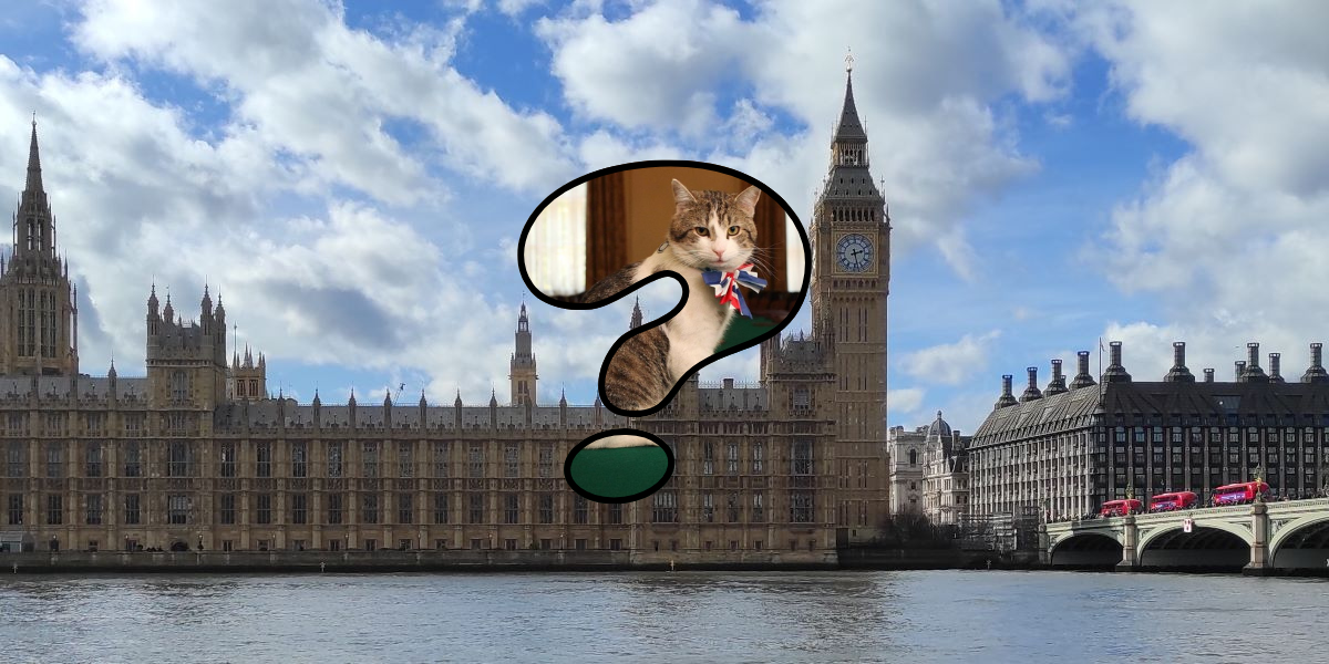 Larry the cat London oddities